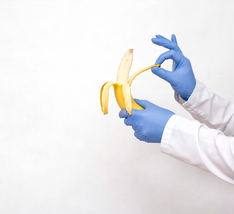 A doctor showing circumcision through peeling banana