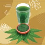 Neem: The Powerful Detoxifying Herb in Ayurveda