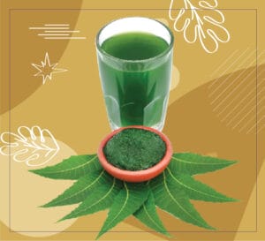 neem for detox