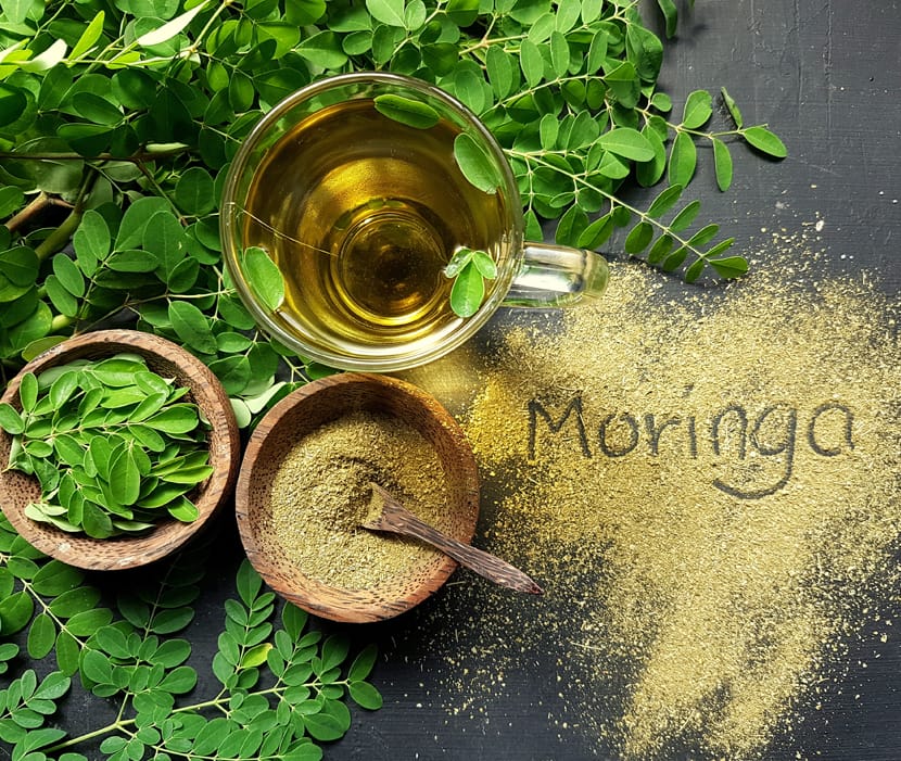 is moringa good for diabetics