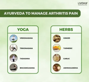Ayurvedic Treatment for Arthritis Does It Work 1