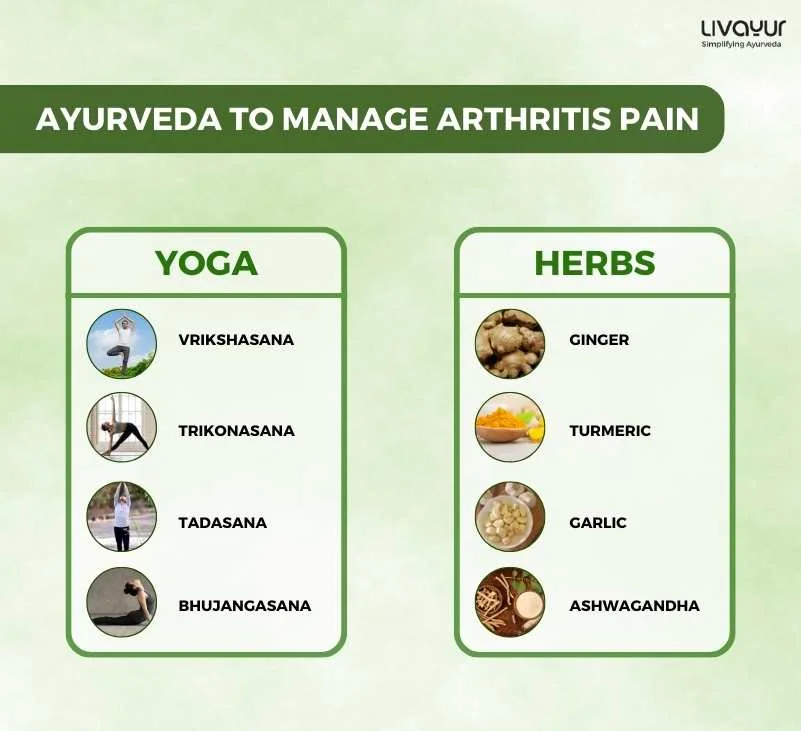 Ayurvedic Treatment for Arthritis Does It Work 1