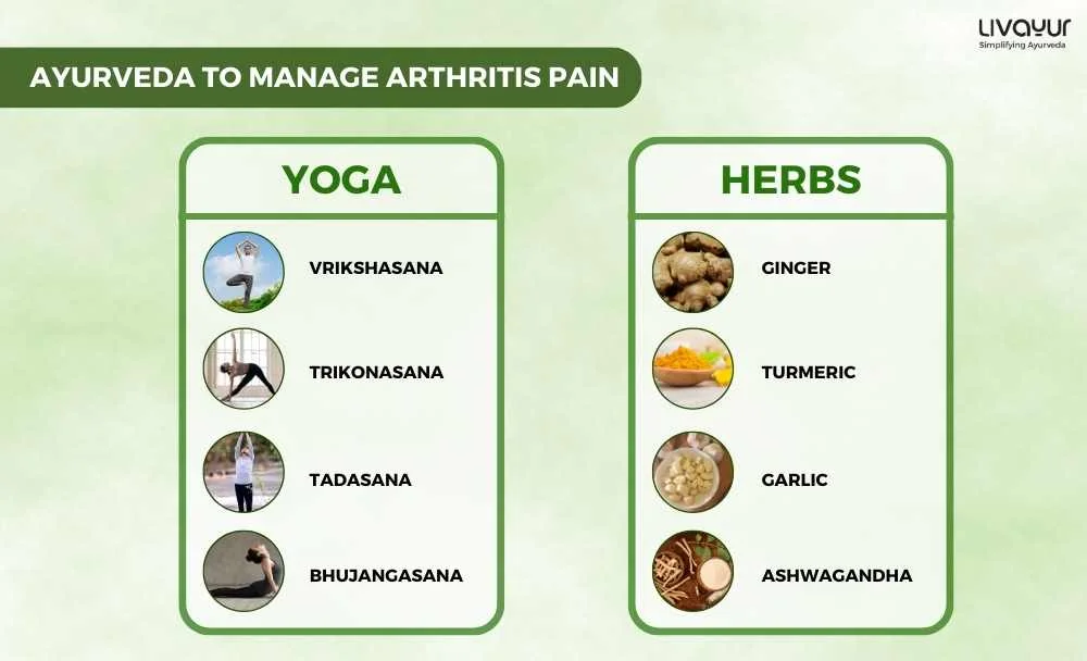 Ayurvedic Treatment for Arthritis Does It Work