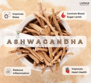 Beyond Bodybuilding Ayurvedic Benefits of Ashwagandha 1
