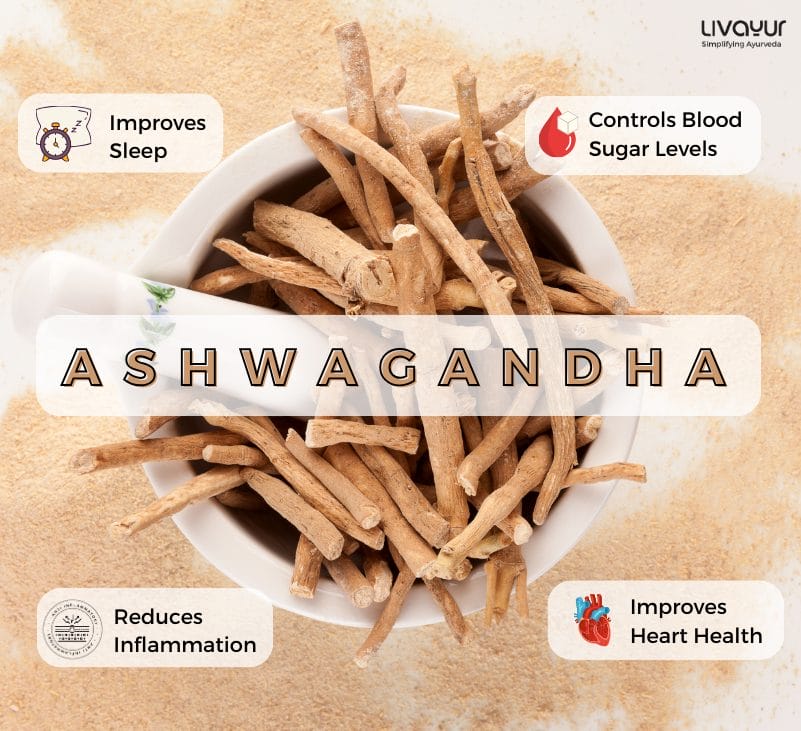 Beyond Bodybuilding Ayurvedic Benefits of Ashwagandha 1