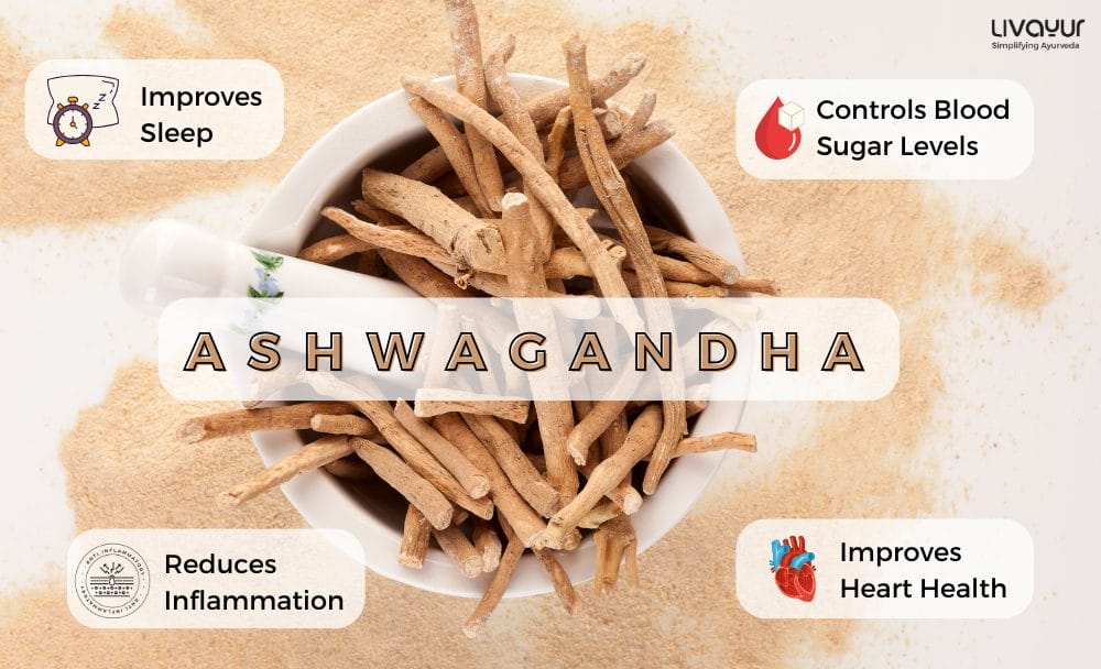 Beyond Bodybuilding Ayurvedic Benefits of Ashwagandha