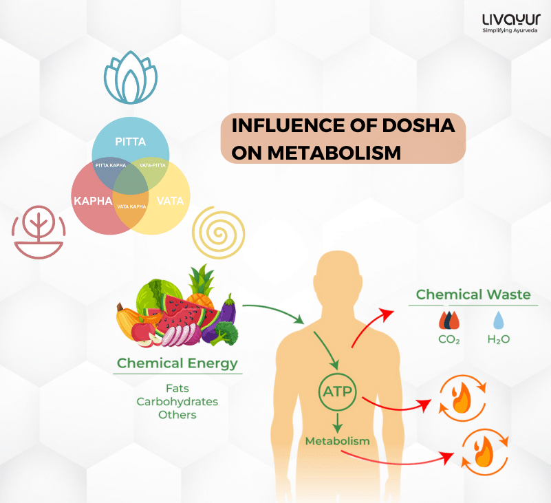 Can Dosha Improve Metabolism 2