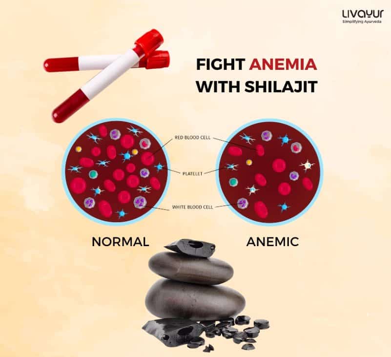 Fight Anemia Low Hemoglobin With Shilajit 2