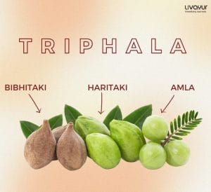 Health Benefits of Triphala A Therapeutic Ayurvedic Remedy 1
