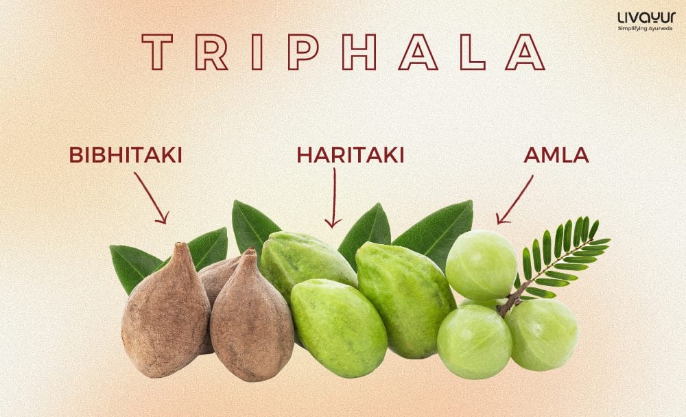 Health Benefits of Triphala A Therapeutic Ayurvedic Remedy