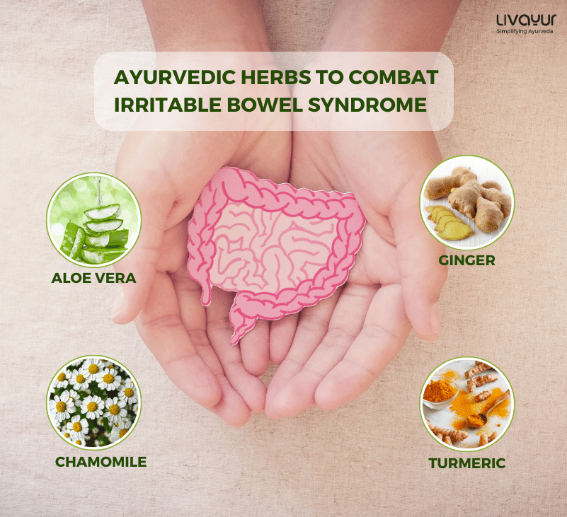 How Ayurveda Can Help you Treat Grahani or Irritable Bowel Syndrome 1