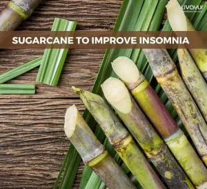 How Can Sugarcane Treat Insomnia Naturally 1 3 11zon