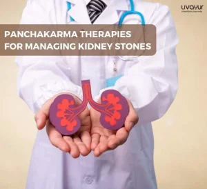 How Panchakarma Helps in Treating Kidney Stones