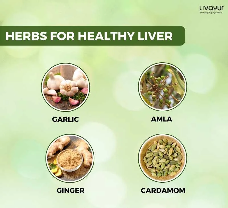Keep Your Liver Healthy with Ayurveda