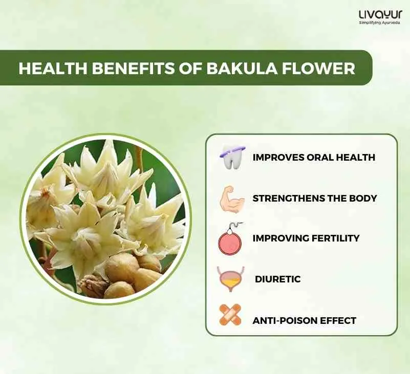 The Secrets Behind the Popularity of Ayurvedas Bakula Flower 30