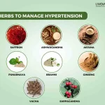 Manage Hypertension With Ayurveda 11zon