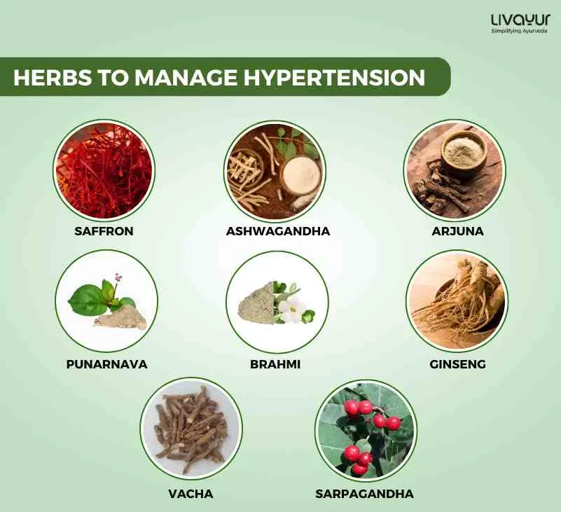 Manage Hypertension With Ayurveda 11zon