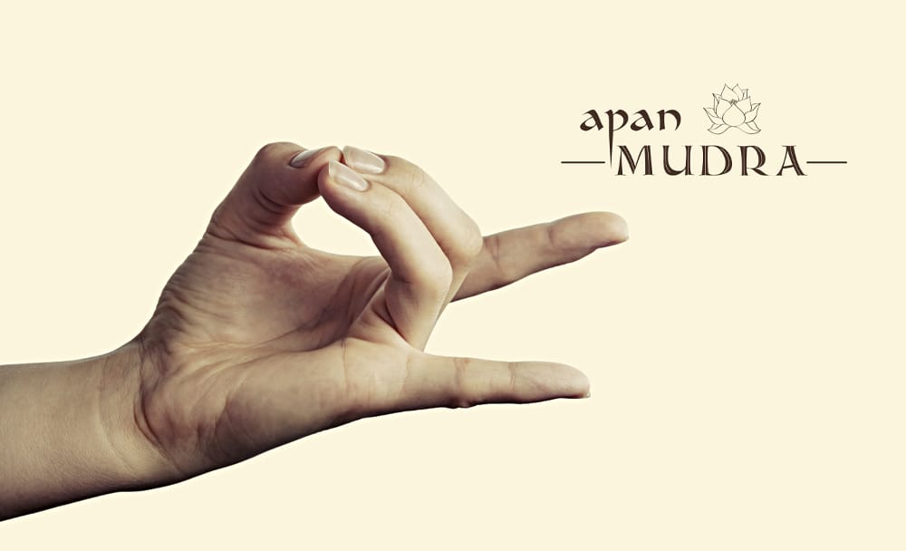  apan mudra - livayur