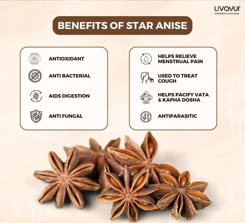 Anise in Ayurveda Uses Benefits and More 1