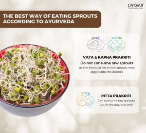 Sprouts Benefits 20 Amazing Health Benefits of Eating Sprouts 1