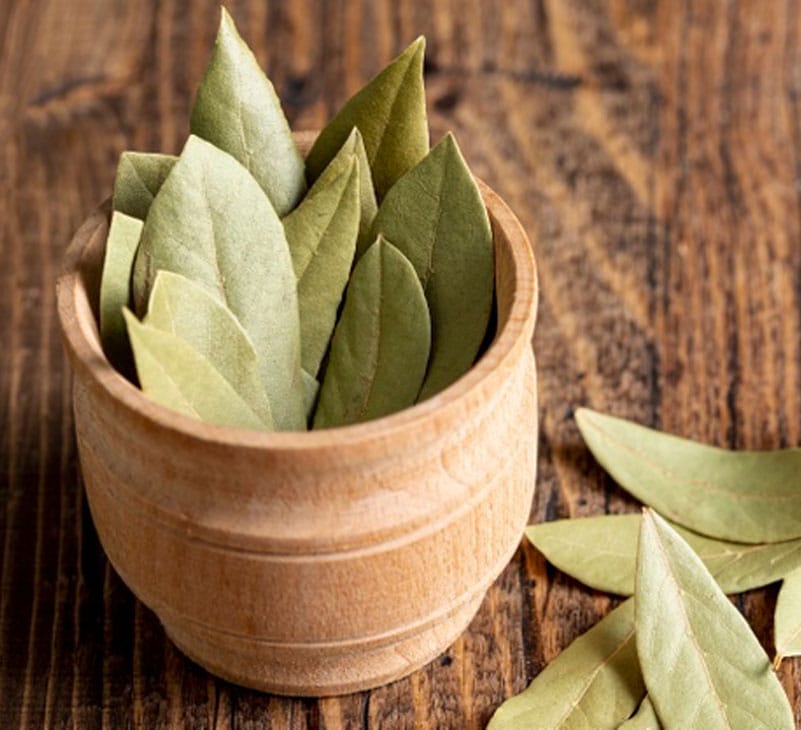 bay leaf benefit