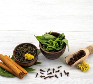 Kalamegha or Bhunimba benefits