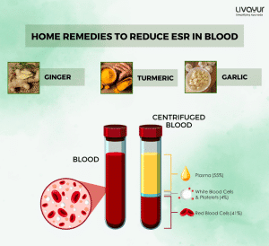 Home Remedies to Reduce ESR in Blood Naturally 1 1