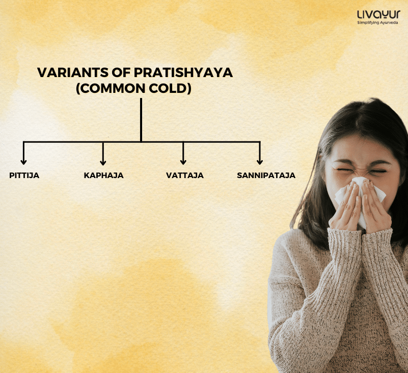 How can You Take Care of a Common Cold at Home 3