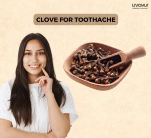 How to Use Clove For Toothache 1