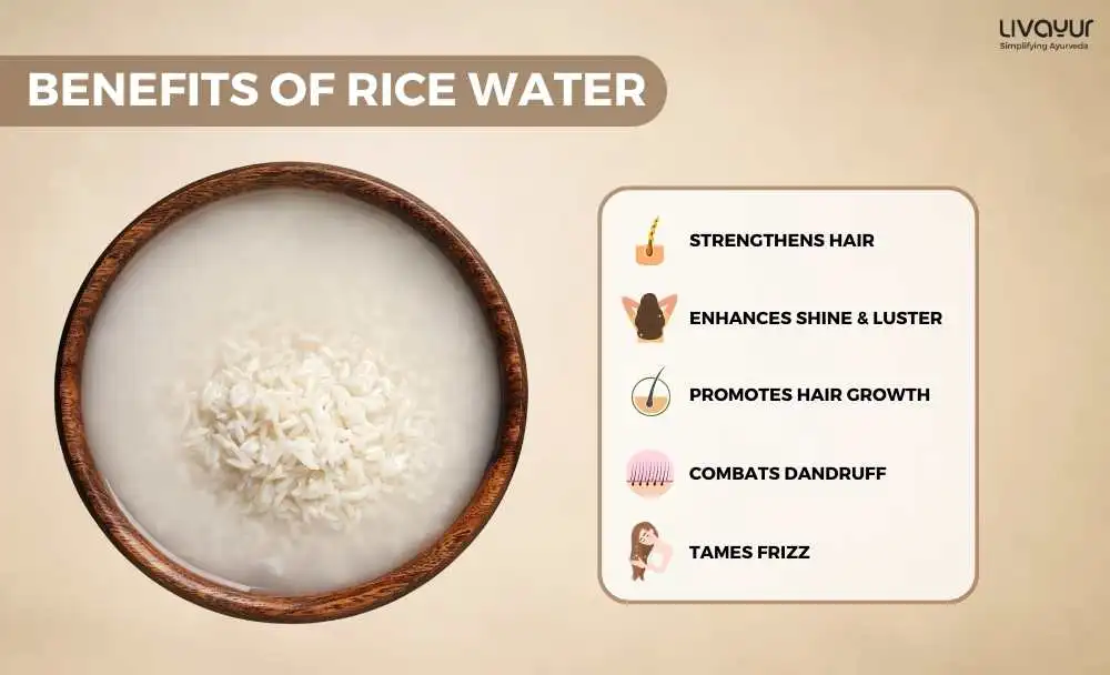 Rice Water for Hair 10 Benefits and How to Use it 1 1