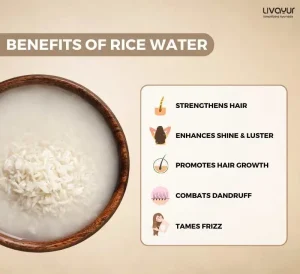 Rice Water for Hair 10 Benefits and How to Use it 2