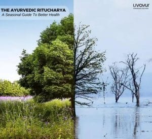 The Ayurvedic Ritucharya A Seasonal Guide To Better Health 1