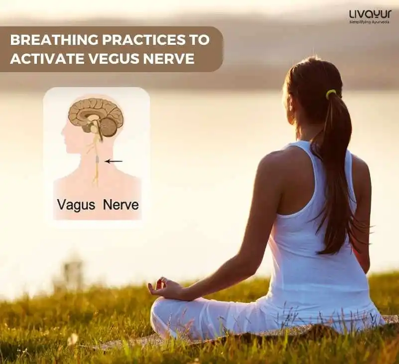 Breathing Practice to Activate your Vagus Nerve 1