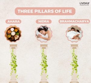 Three Pillars of Life According to Ayurveda 1