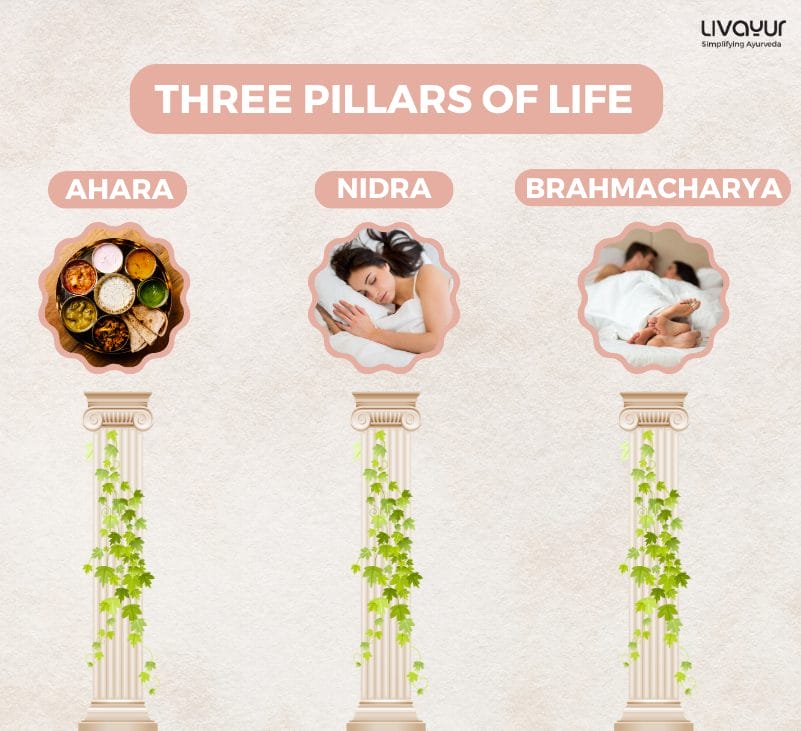 Three Pillars of Life According to Ayurveda 1