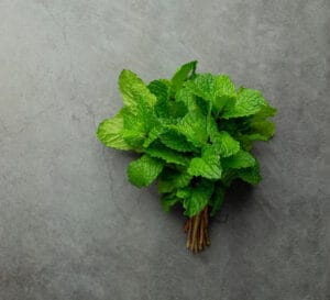 Ayurvedic Prakruti