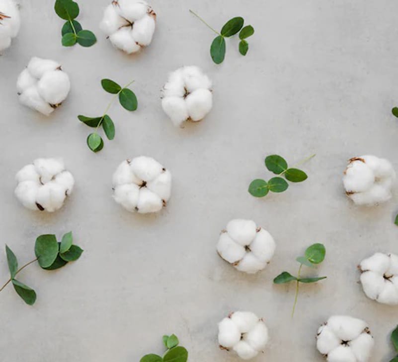 benefits of cotton plant leaves