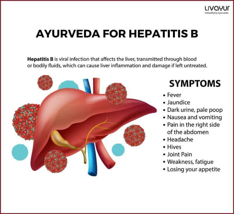 Ayurveda Help Manage Hepatitis B Myth or Fact 2