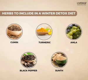 Does Ayurveda Advise Detox During Winter 34 11zon