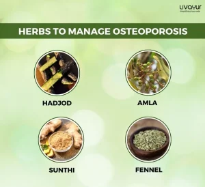 How to Strengthen Your Bone with Ayurvedic Herbs