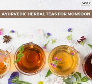 Ayurvedic Herbal Teas For Monsoon