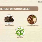 Tuck Into Sound Sleep With These Ayurvedic Remedies 11zon 11zon