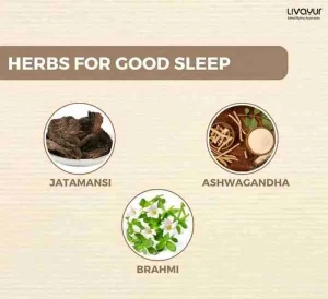 Tuck Into Sound Sleep With These Ayurvedic Remedies 11zon 11zon