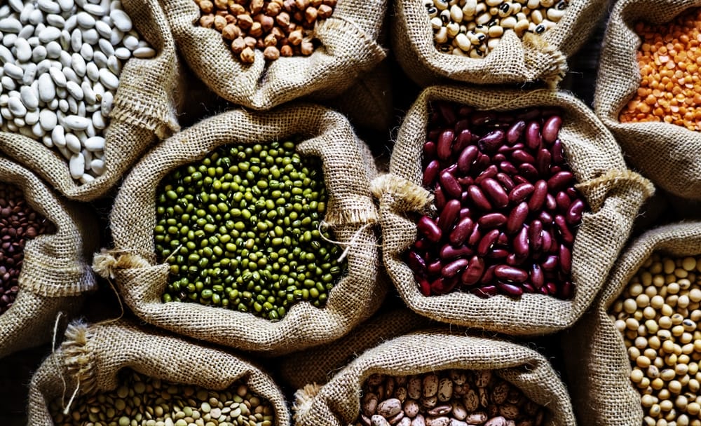 Legumes