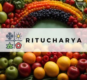 Ritucharya Why Is it Important to Eat Seasonal Foods 1