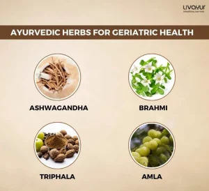 Easy Yoga and Ayurvedic Tips for Geriatric Care Management