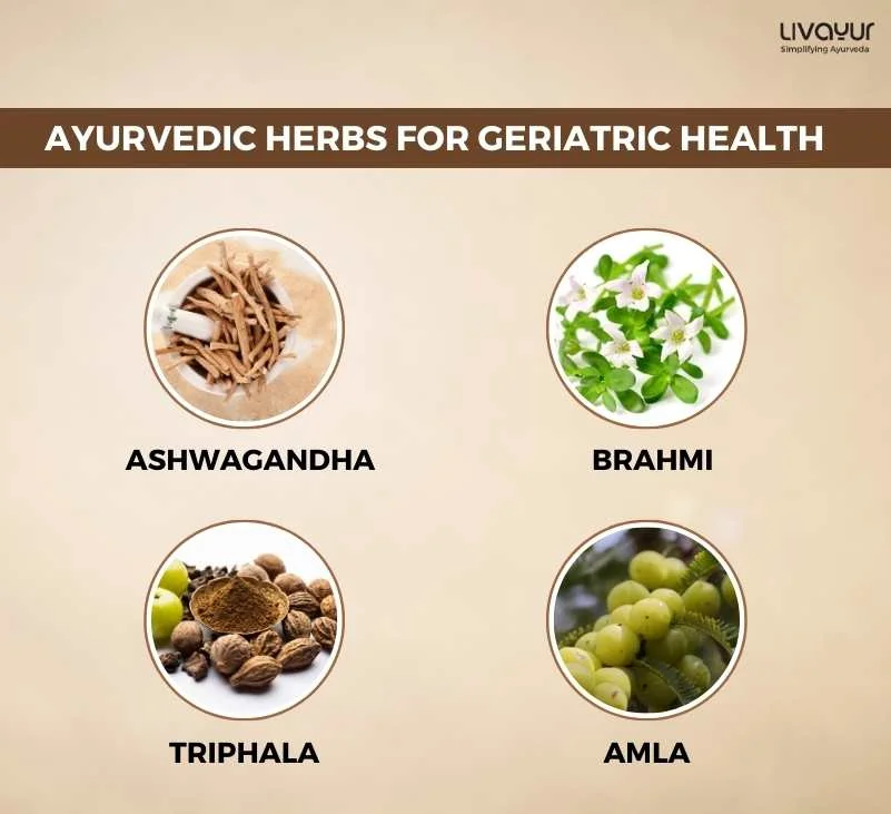 Easy Yoga and Ayurvedic Tips for Geriatric Care Management