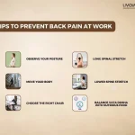 Back Pain at Work Causes Factors and How to Prevent Back Pain