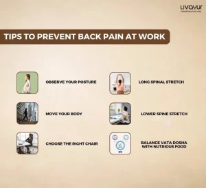 Back Pain at Work Causes Factors and How to Prevent Back Pain