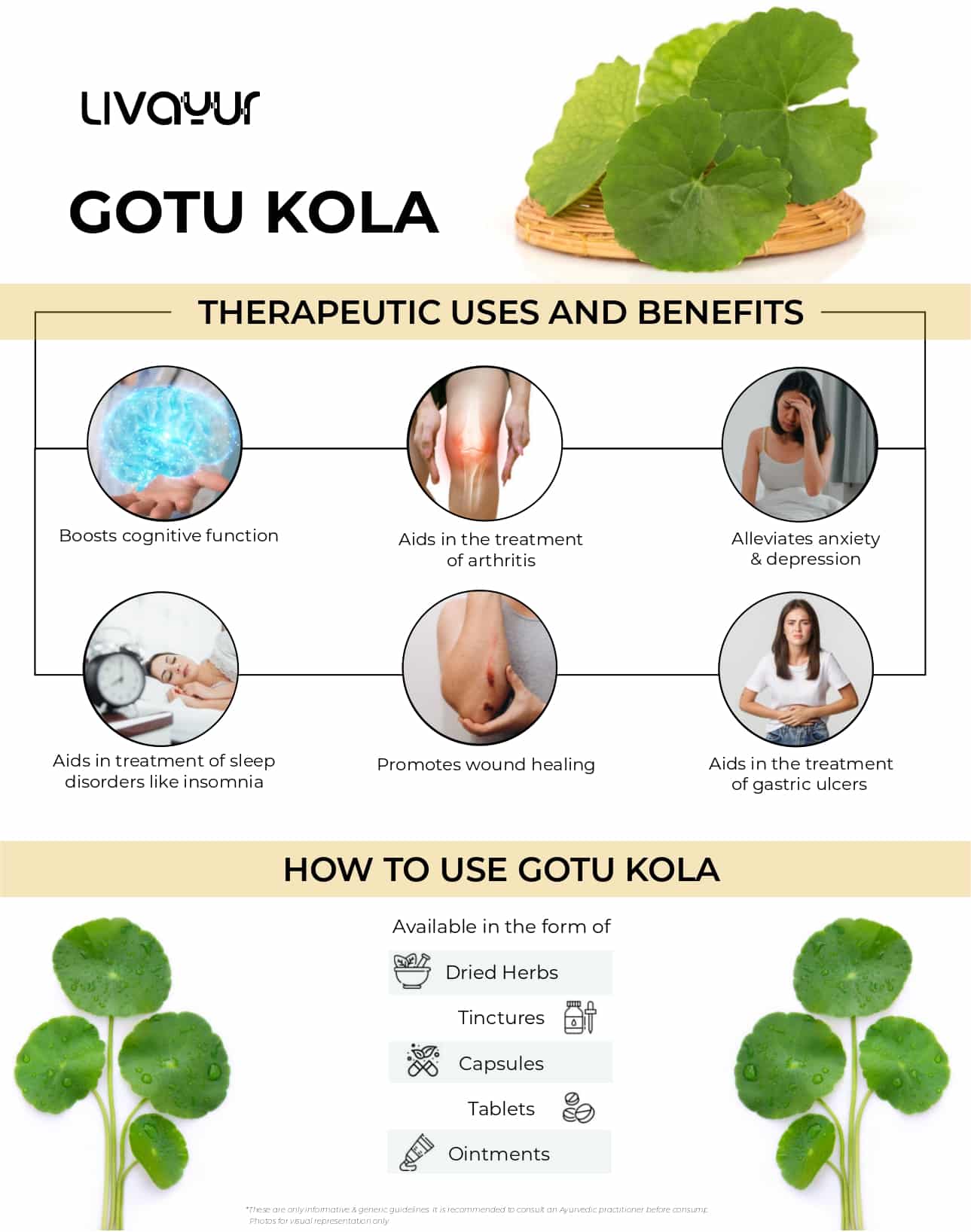 The Many Health Benefits of Gotu Kola - Simplifying Ayurveda